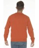 GANT MAGLIA Uomo